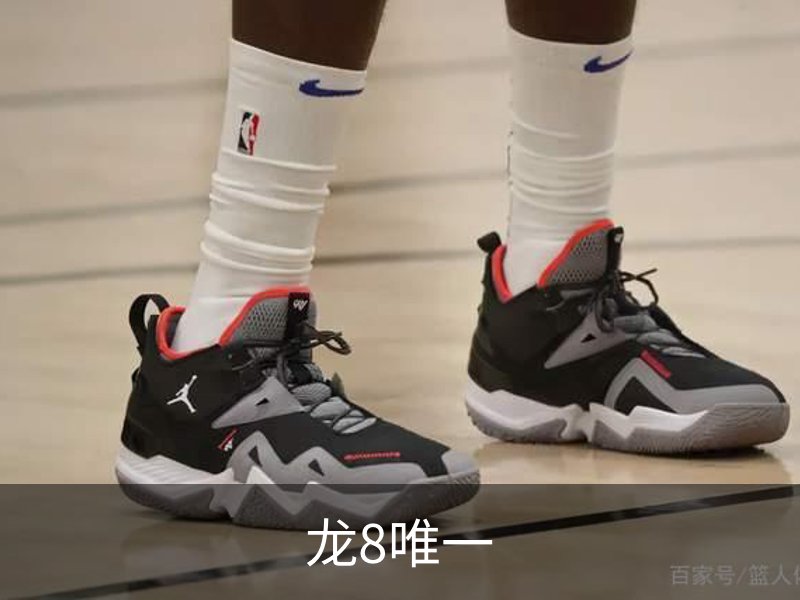 龙8唯一概况
